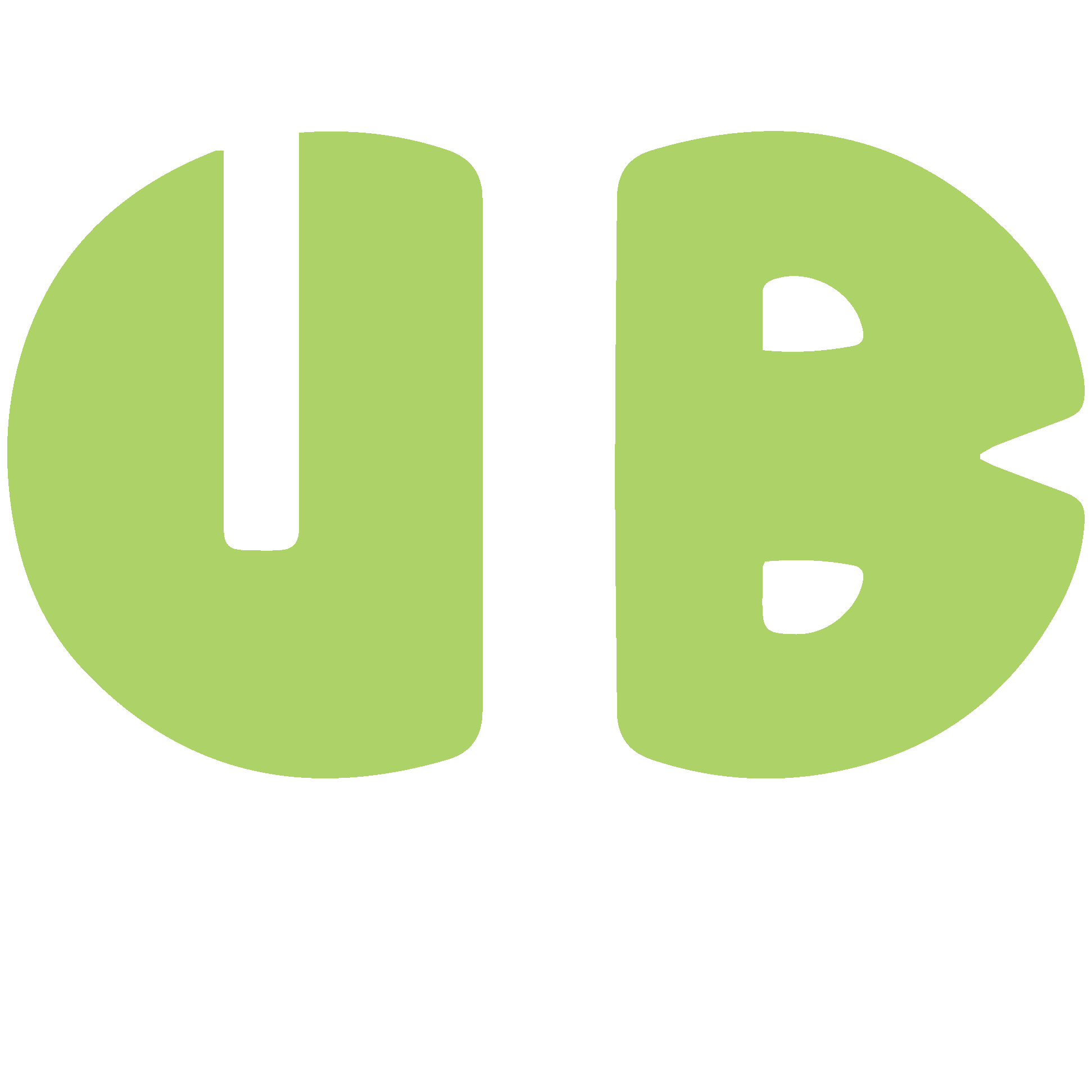 UB Soldier Fly logo