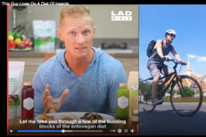 Josh Galt Entovegan feature LADBible