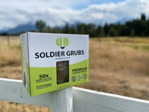 UB Soldier Grubs at a poultry farm in the US