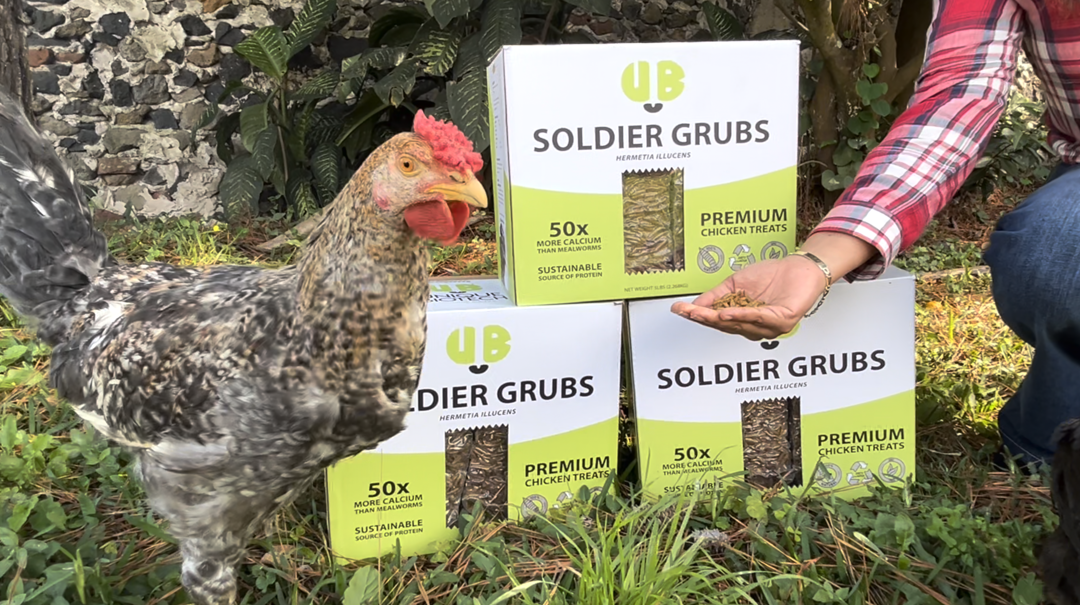UB soldier grubs chicken handout